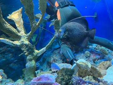 サンシャイン水族館に投稿された画像（2023/5/8）