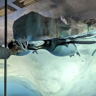 名古屋港水族館に投稿された画像（2023/5/8）