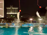 名古屋港水族館に投稿された画像（2023/5/8）