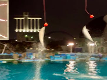 名古屋港水族館に投稿された画像（2023/5/8）