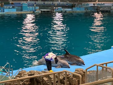 名古屋港水族館に投稿された画像（2023/5/8）
