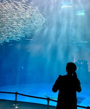 名古屋港水族館に投稿された画像（2023/5/8）