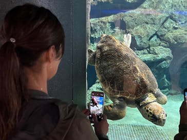 名古屋港水族館に投稿された画像（2023/5/8）