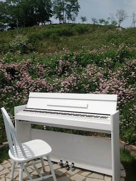 花の駅せらに投稿された画像（2023/5/8）