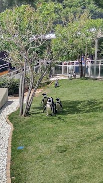 マリンワールド海の中道に投稿された画像（2023/5/8）