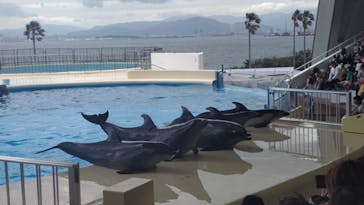 マリンワールド海の中道に投稿された画像（2023/5/8）