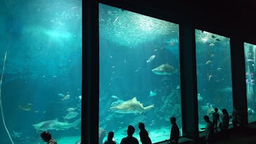 マリンワールド海の中道に投稿された画像（2023/5/8）