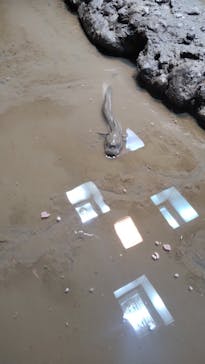 マリンワールド海の中道に投稿された画像（2023/5/8）