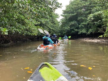 西表島 ADVENTURE PiPi（アドベンチャーピピ）に投稿された画像（2023/5/8）