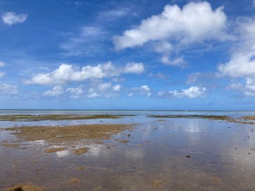 西表島 ADVENTURE PiPi（アドベンチャーピピ）に投稿された画像（2023/5/8）