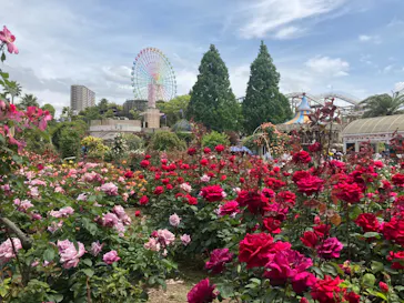 ひらかたパークに投稿された画像（2023/5/8）