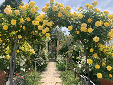 ひらかたパークに投稿された画像（2023/5/8）