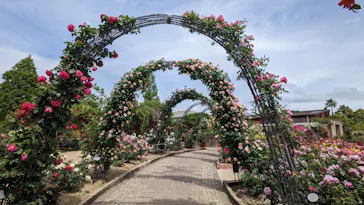 ひらかたパークに投稿された画像（2023/5/8）