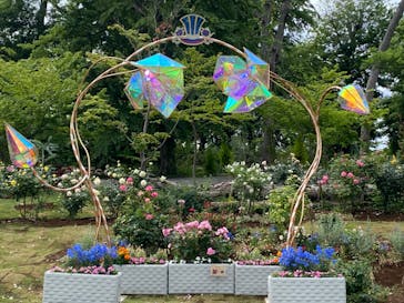 京成バラ園に投稿された画像（2023/5/8）