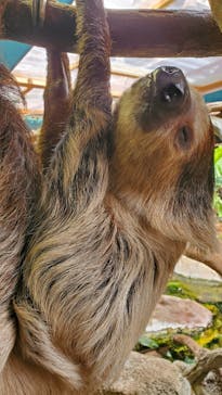 那須どうぶつ王国に投稿された画像（2023/5/8）