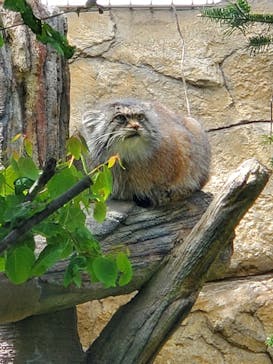 那須どうぶつ王国に投稿された画像（2023/5/8）