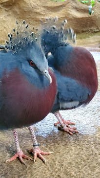 那須どうぶつ王国に投稿された画像（2023/5/8）