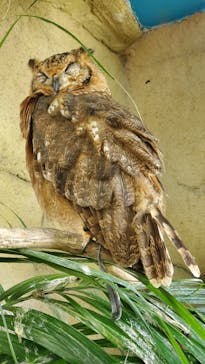 那須どうぶつ王国に投稿された画像（2023/5/8）