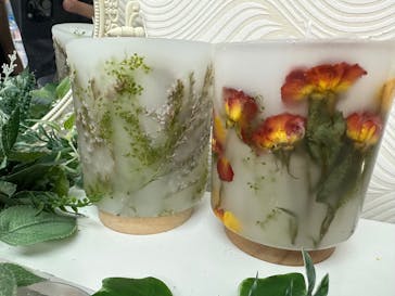 ずこうしつ〜sugamo〜に投稿された画像（2023/5/8）