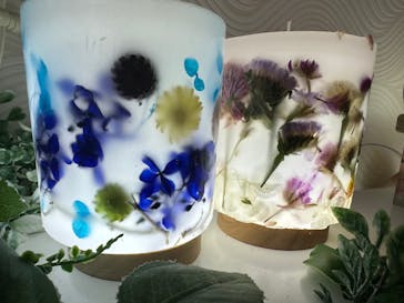 ずこうしつ〜sugamo〜に投稿された画像（2023/5/8）