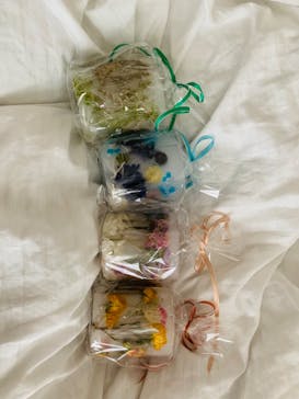 ずこうしつ〜sugamo〜に投稿された画像（2023/5/8）