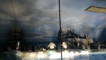 名古屋港水族館に投稿された画像（2023/5/8）