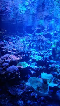 名古屋港水族館に投稿された画像（2023/5/8）