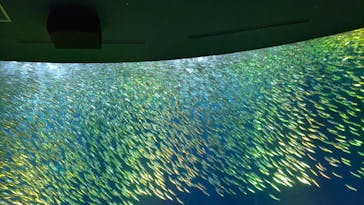 名古屋港水族館に投稿された画像（2023/5/8）