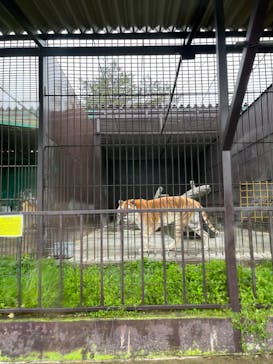 東北サファリパークに投稿された画像（2023/5/8）