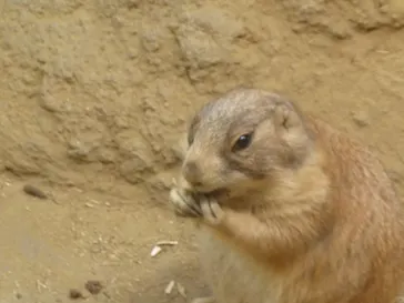 神戸どうぶつ王国に投稿された画像（2023/5/8）