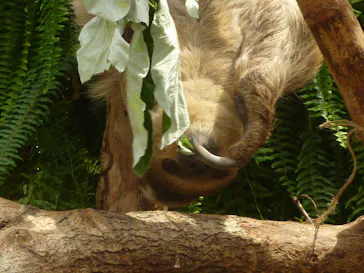 神戸どうぶつ王国に投稿された画像（2023/5/8）