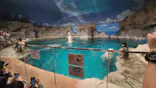 名古屋港水族館に投稿された画像（2023/5/9）
