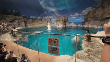 名古屋港水族館に投稿された画像（2023/5/8）