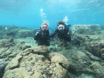 武藤潜水に投稿された画像（2023/5/9）