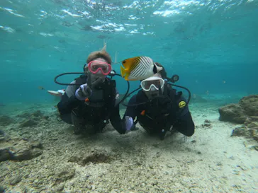 武藤潜水に投稿された画像（2023/5/9）
