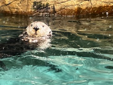 マリンワールド海の中道に投稿された画像（2023/5/9）