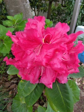 モビリティリゾートもてぎに投稿された画像（2023/5/6）