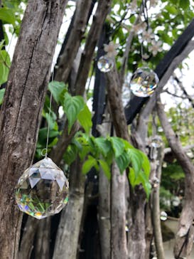 日本庭園　由志園に投稿された画像（2023/5/9）