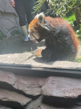 那須どうぶつ王国に投稿された画像（2023/5/9）