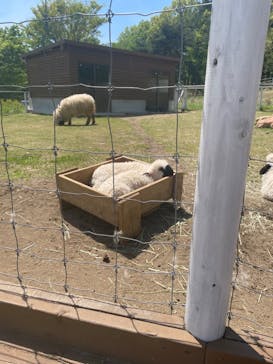 那須どうぶつ王国に投稿された画像（2023/5/9）