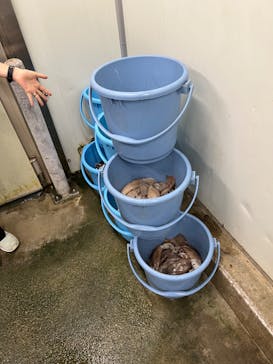 沖縄美ら海水族館に投稿された画像（2023/5/9）