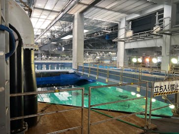 沖縄美ら海水族館に投稿された画像（2023/5/9）