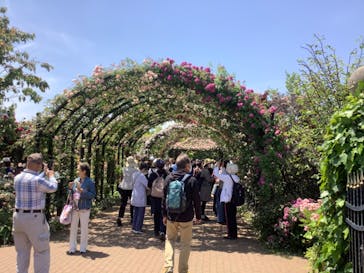 横浜イングリッシュガーデンに投稿された画像（2023/5/9）