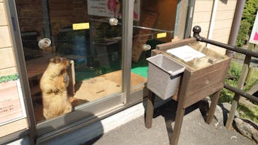 伊豆シャボテン動物公園に投稿された画像（2023/5/9）