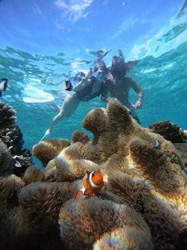 オースリーシュノーケル宮古島に投稿された画像（2023/5/9）