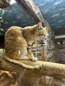 那須どうぶつ王国に投稿された画像（2023/5/9）