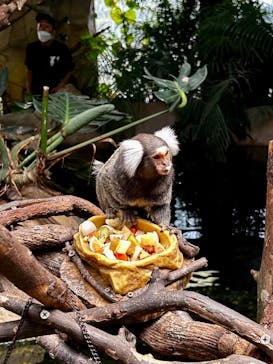 那須どうぶつ王国に投稿された画像（2023/5/9）