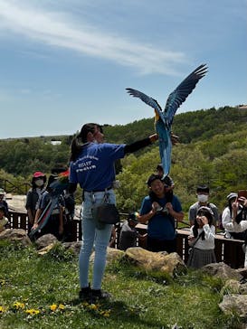 那須どうぶつ王国に投稿された画像（2023/5/9）