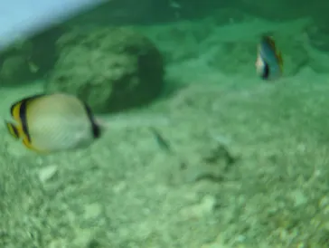 武藤潜水に投稿された画像（2023/5/9）