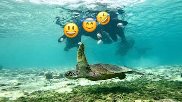 オースリーシュノーケル宮古島に投稿された画像（2023/5/9）